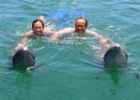 08/06/2022(1230) Dolphin Swim
