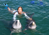 08/12/2022(845) Dolphin Swim