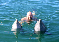 10/29/2022(9:30)Dolphin Swim