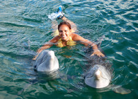 07/08/2022(715) Dolphin Swim