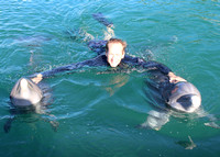 01/02/2020 (930) Dolphin Swim