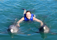 02/04/2022(9:30)Dolphin Swim