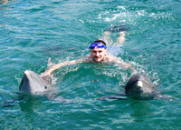 06/28/2022(930) Dolphin Swim