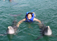 08/09/2022(930) Dolphin Swim