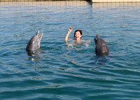 3/31/2025 (930) SWIM