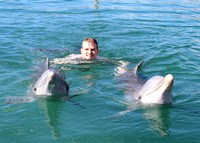 03/01/2022(9:30)Dolphin Swim