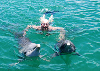 06/08/2022(1230) Dolphin Swim