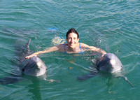 05/02/2022(9:30)Dolphin Swim