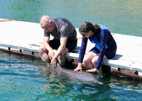 3/14/2025 (1230) ENCOUNTER